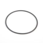 Above Ground Pool Filter Cap Seal Replacement for 1,500 gal. Pump