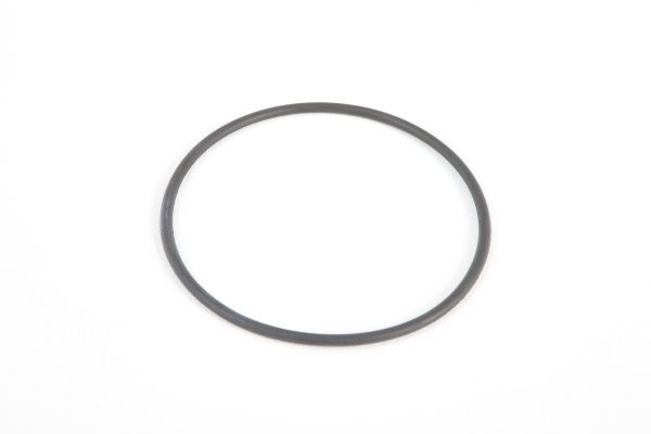Above Ground Pool Filter Cap Seal Replacement for 1,500 gal. Pump